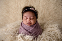 Reddy Newborn